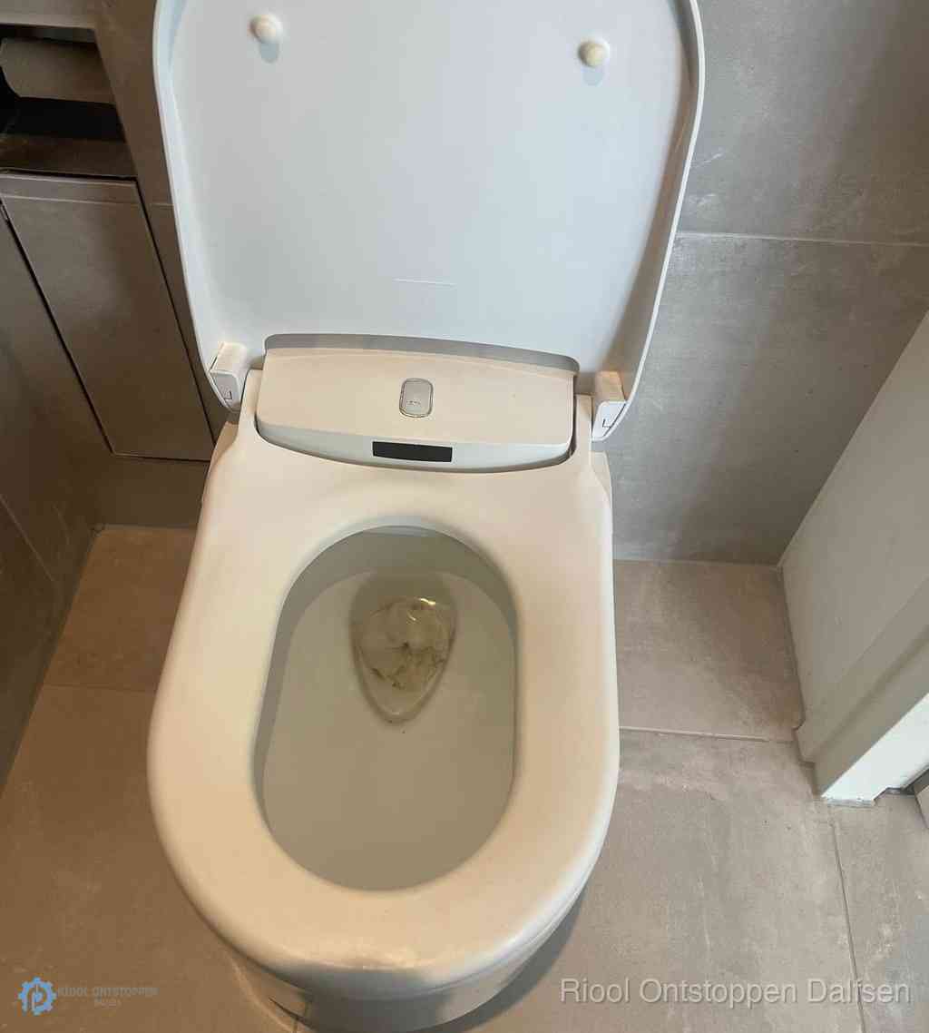 Toilet Ontstoppen Dalfsen Toilet Ontstoppen Dalfsen
